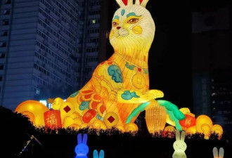 中国各地引发刷屏的蠢萌兔子灯 笑不活了