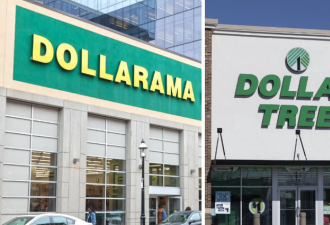 加拿大一元店性价比：Dollar Tree和Dollarama哪家好？