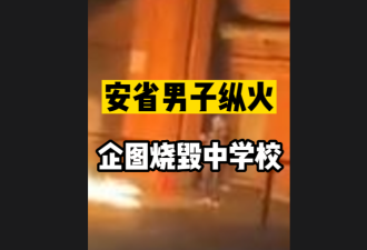 【视频】安省男子企图纵火烧中学 犯案后淡定离开被抓获