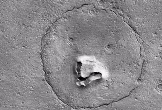 在火星上发现了一张熊脸 简直维妙维肖