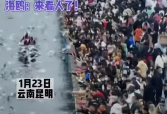 7天猛赚3700亿!憋疯的中国游客到底救活多少景区?
