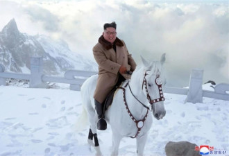 朝鲜从俄进口51匹马 金正恩曾骑这种马白头山疾驰