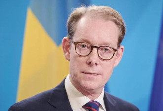 瑞典外交部长：申请加入北约程序已暂停