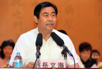 辞职近10年后 原周口“平坟市长”岳文海被查