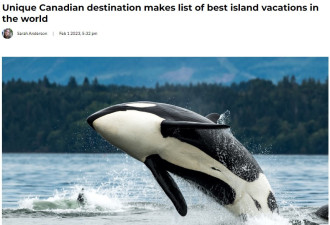 厉害了！加拿大这个小岛上榜世界上最好的岛屿度假地