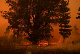 智利森林大火失控22死！直升机灭火不幸坠毁