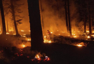 智利森林大火酿24死 301处火势待扑灭