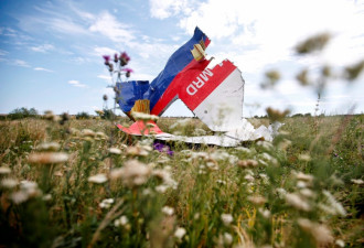 荷兰调查曝：击落马航MH17导弹是普京亲下令交付的