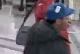 TTC地铁站袭击他人的男子被捕