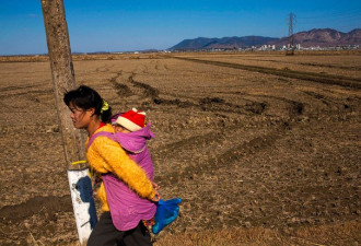 朝鲜爆大饥荒：最发达区每日饿死数十人 自杀不断