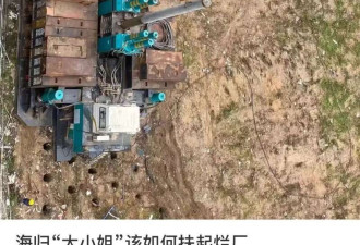 海归少爷家业梦碎 回国继承老爸厂，每月倒贴几万