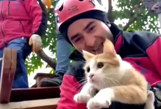 土耳其男子被埋废墟仍爱宠心切 要求救援队先救猫