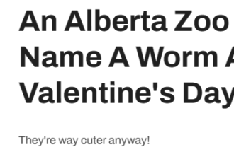 加拿大动物园情人节特别活动：5刀让前男友“变虫子”！