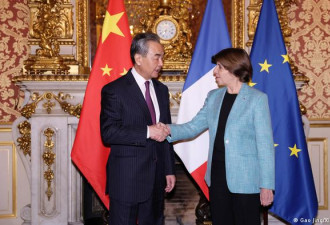 王毅会晤法国总统 同意为乌和平作出贡献