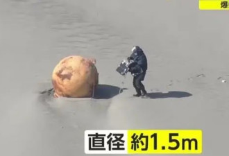 日本海滩现巨大“神秘球”海保人员疑惑:从没见过