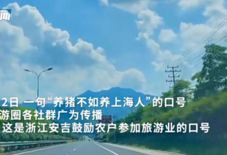“养猪不如养上海人”?当地以及涉事教授回