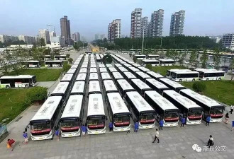 有一种公交车停运，叫作“中国式讨薪”