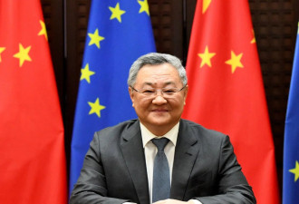 中国驻欧盟大使：欧盟领导人或将在上半年访华