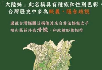 热帖：衰亡三十年，大陆妹在台湾的历史