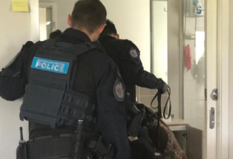 澳洲警察开始行动 打击外国干涉活动