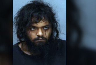 警方逮捕TTC上袭击多名女性的嫌疑人