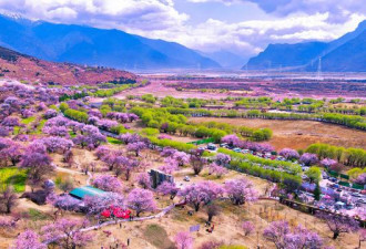 中国春天最美的八大赏花胜地 一起看