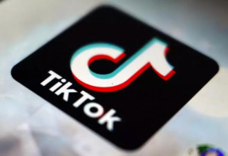 哪些地方已对TikTok实施禁令或限制？