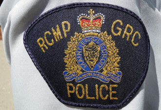 加拿大4岁儿童开枪击中6岁孩子 警方搜出多件武器