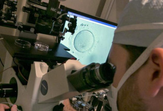 可怕！加州夫妇告诊所 植入胚胎带罕见癌症基因