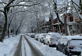 雪暴致千户断电多伦多启动全城清雪 注意这些限制措施