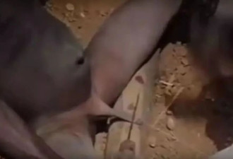 这个中国人割掉了3000万非洲男性的包皮