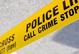 多伦多警察局被砸破窗 警寻一名男子