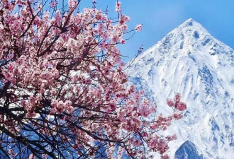 中国国内春季旅游六个值得去的地方