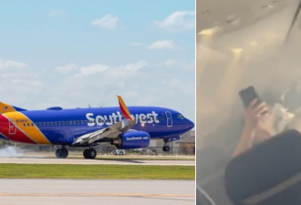 北美航班高空遭到飞鸟撞击 机舱浓烟滚滚 乘客无法呼吸