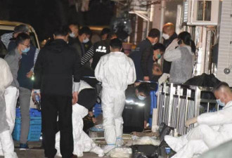 香港名媛碎尸案的残骸与死者DNA吻合