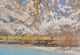 浪漫媲美日本 治愈美景不输江苏 新疆的小众风景