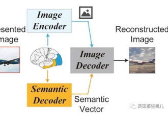 科学家用AI实现读心术 画出人类脑海中画面
