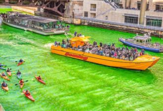 别错过奇观…庆圣派翠克节 芝加哥河周六瞬间变绿