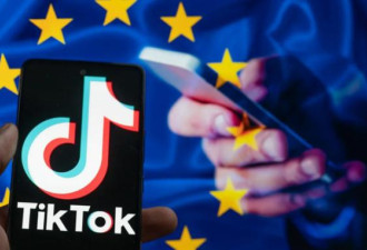 加大数据安全 Tiktok在欧洲推出“三叶草”计划