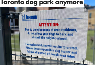 离谱！多伦多狗公园禁止狗叫！主人抗议：开罚单吗？