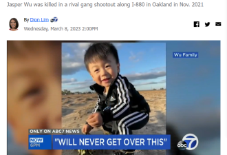 2岁华裔男童被残忍枪杀，凶手竟面临轻判减刑！