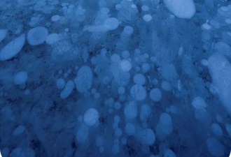 加拿大冬季神奇的气泡湖，美得冒泡！