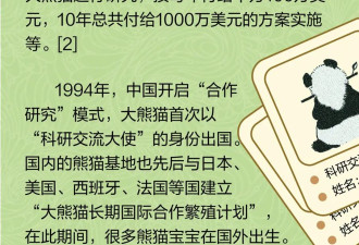 中国开展熊猫外交82年 “大使”们在外还好吗？