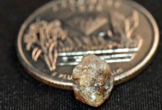 美国一名幸运男子在公园发现3.29克拉褐色钻石