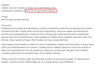 多伦多“海龙卷风”警报：50km妖风+吹雪致盲 20cm暴雪狂袭安省