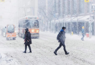 多伦多“海龙卷风”警报：50km妖风+吹雪致盲 20cm暴雪狂袭安省