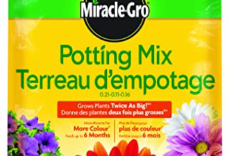 Miracle-Gro Potting Mix 花盆土 大包装8.8L