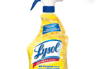 Lysol 全能清洁喷雾650ml 强力去污 99%杀菌