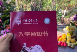 辞职务农17年 37岁重庆女子被中国农大录取