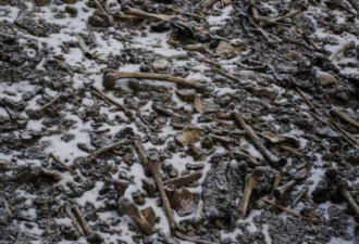 冰川湖泊中居然发现数百具人类遗骸